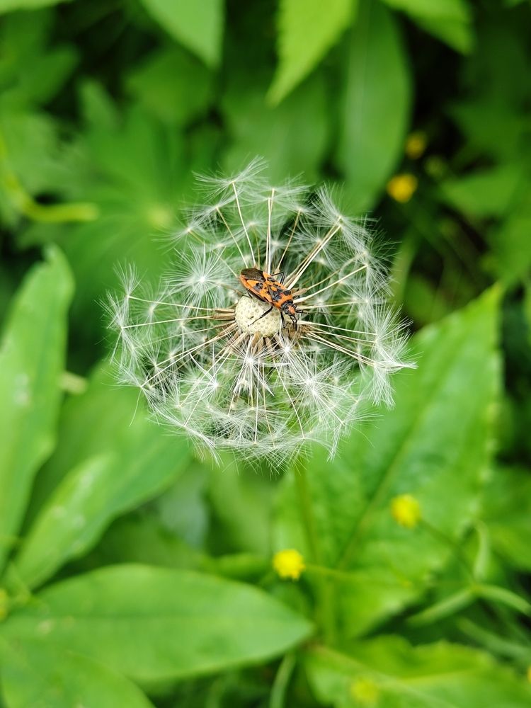 Photograph by Сергей Александрович