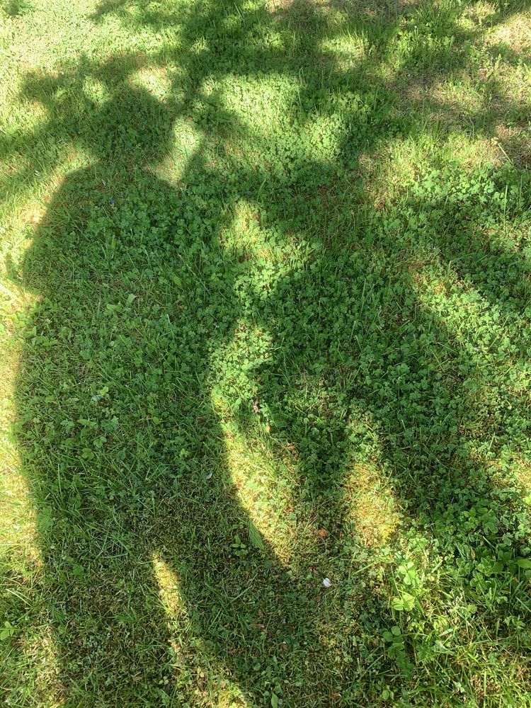 Photograph by Елена