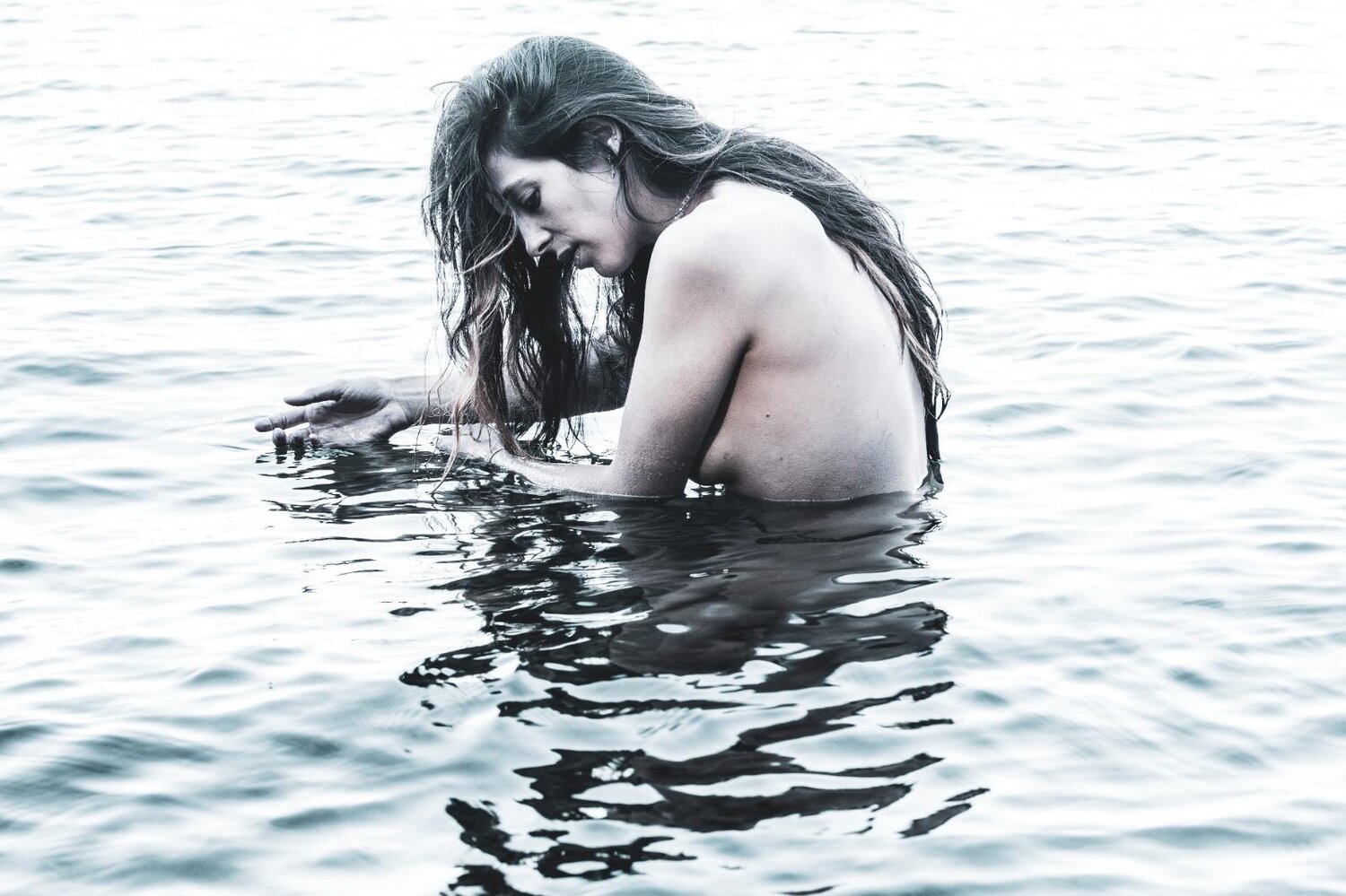 Photo #13669946