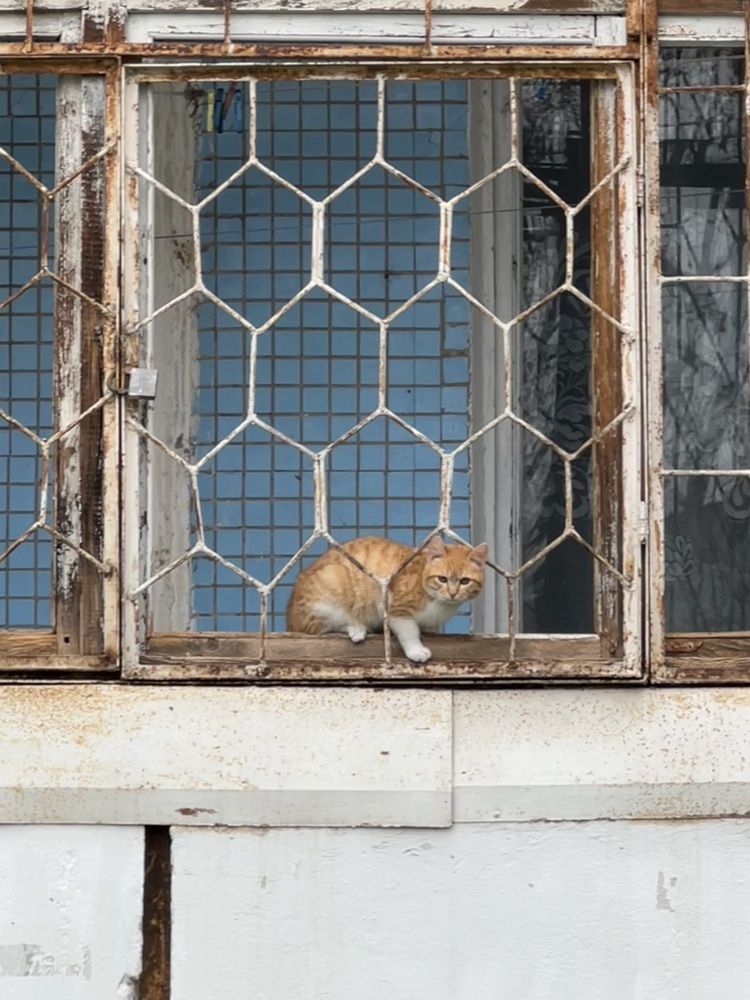 Photograph by Яна Сел