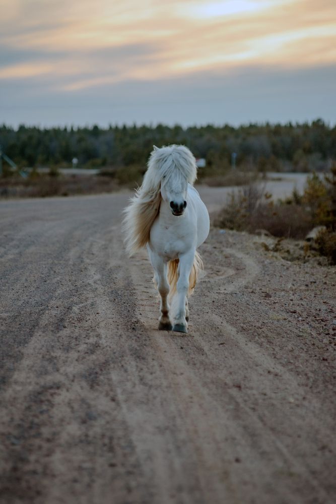 Photograph by Ксения Рябухина