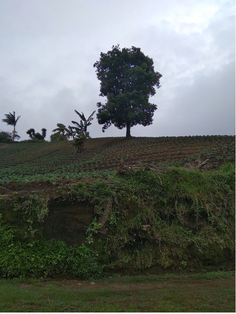 Photograph by Fabio Eduardo Godoy Ángel