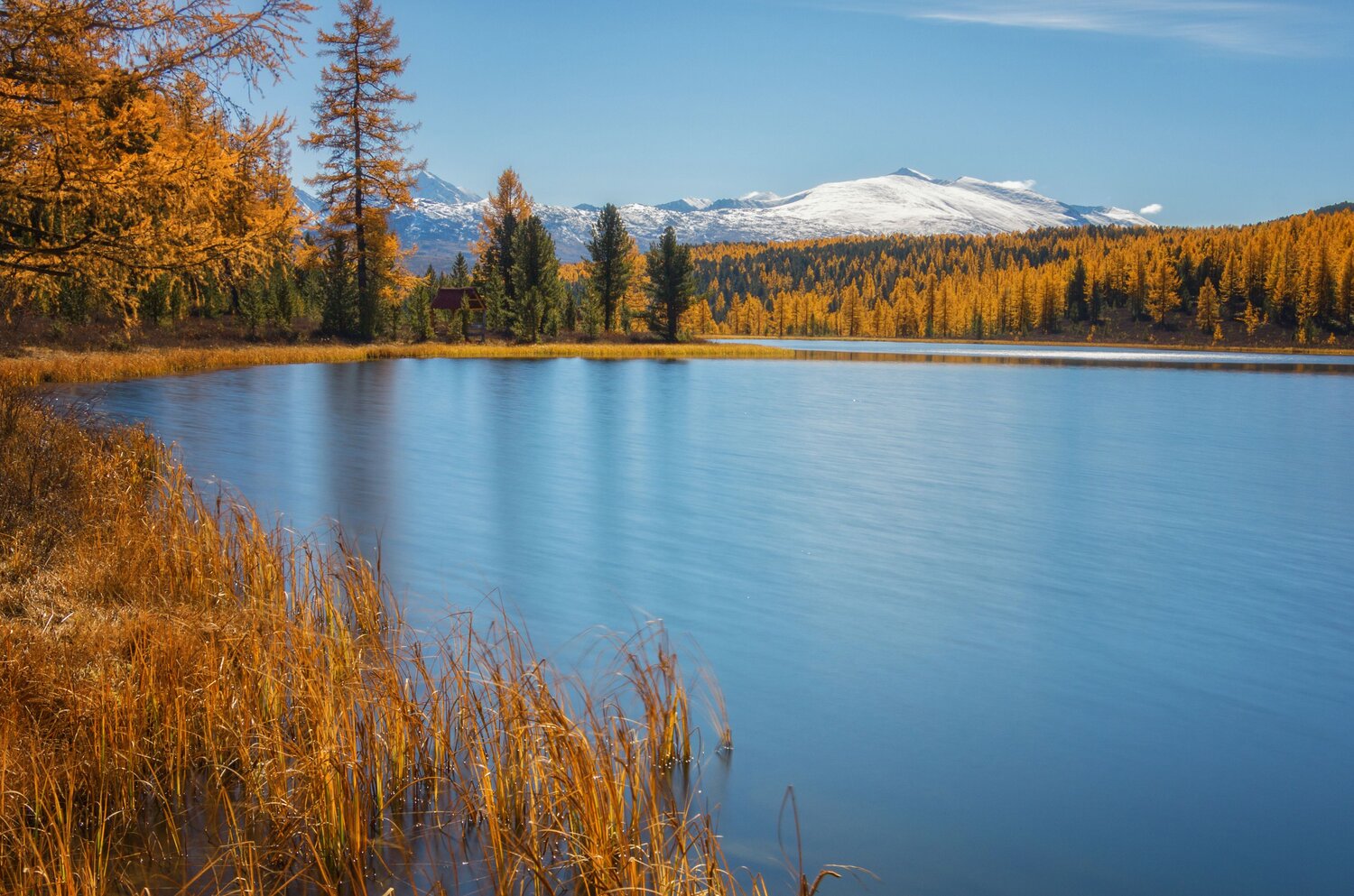 Photo #13670165