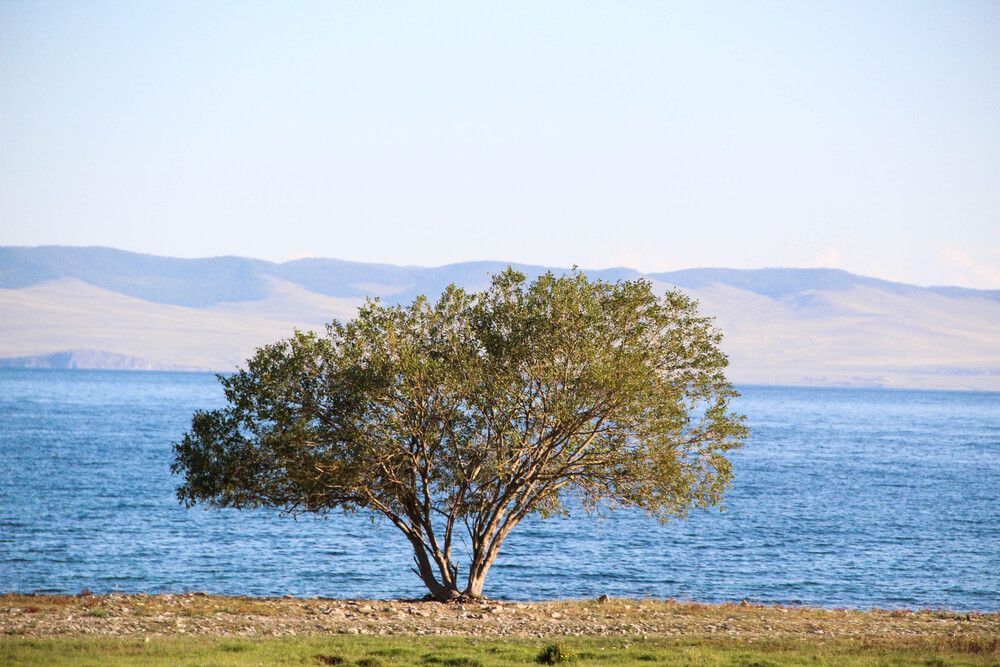 Photograph by Людмила Таерова