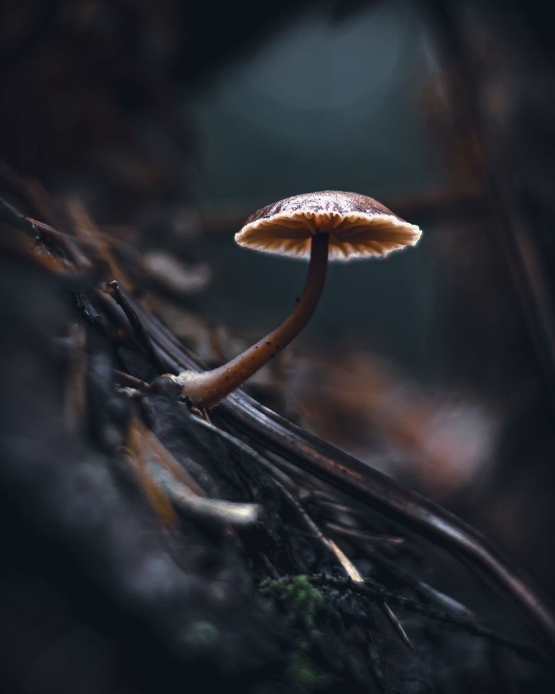 Photograph by Сергей Зайцев