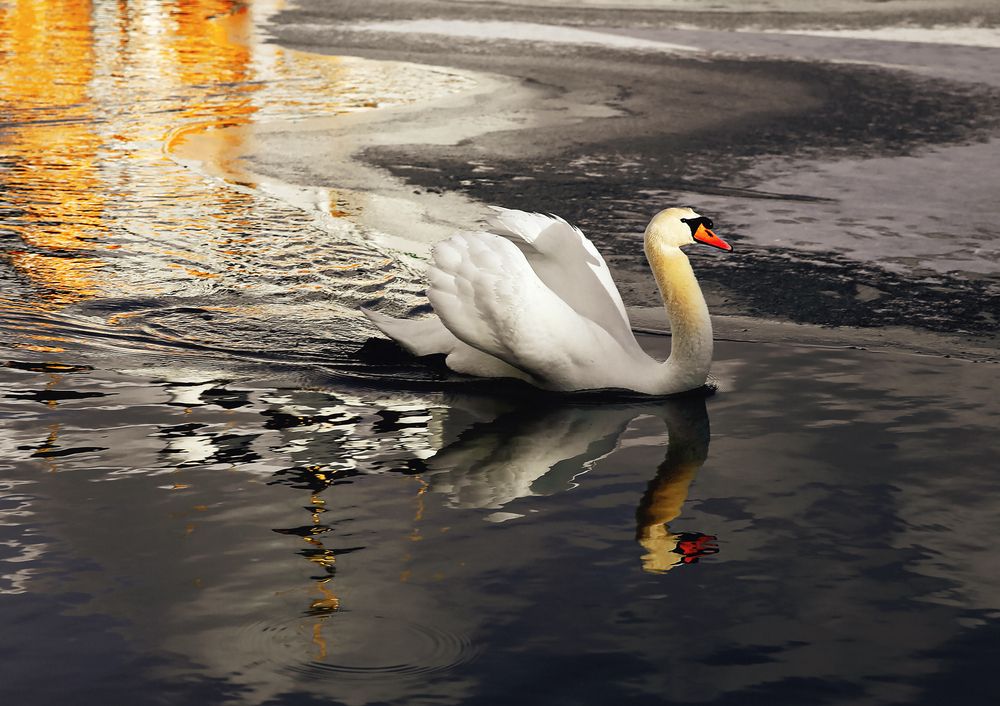 Photograph by Nikolay Suglobov