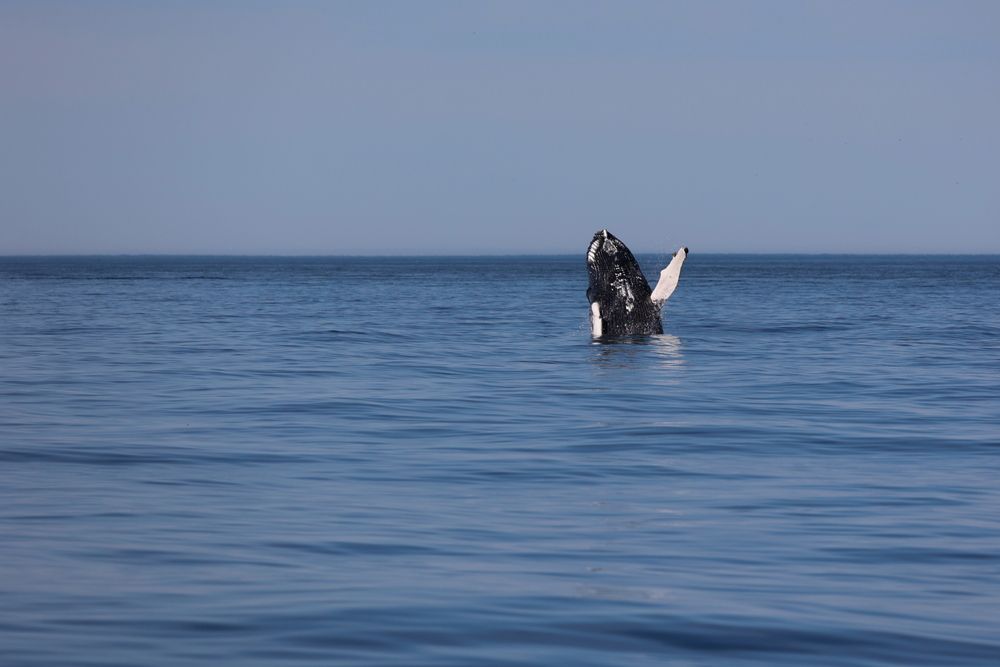 Photograph by Борис Лишневский