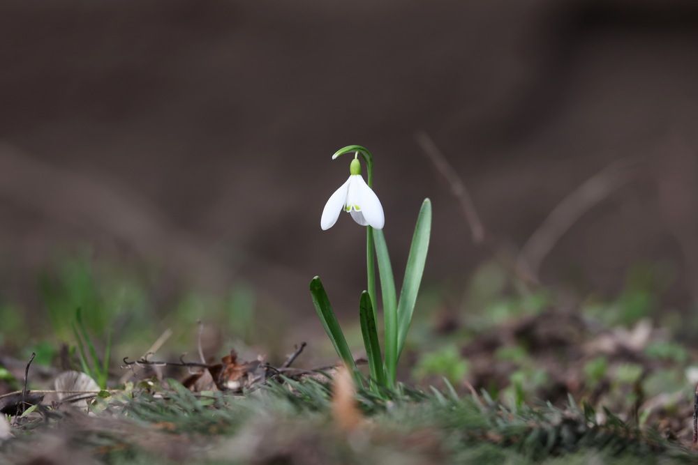 Photograph by Ольга