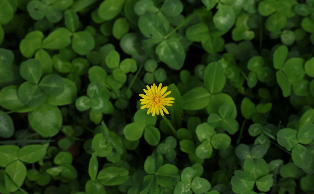Photograph by Ольга