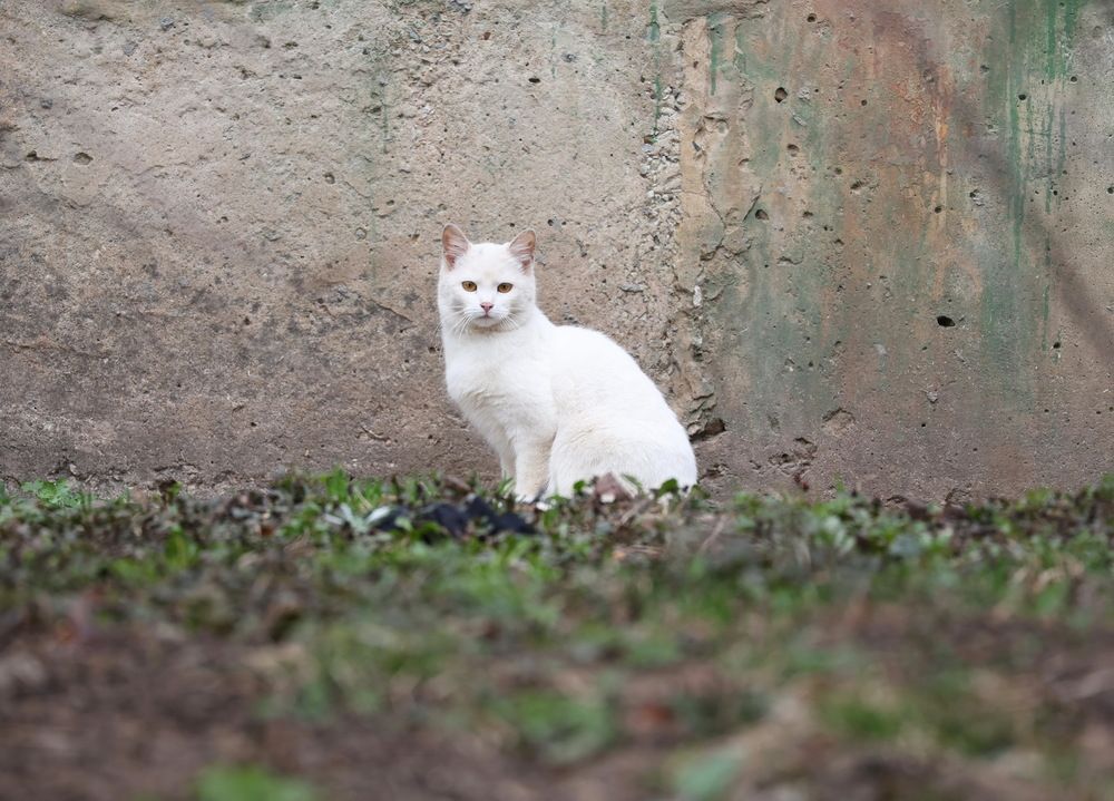 Photograph by Ольга