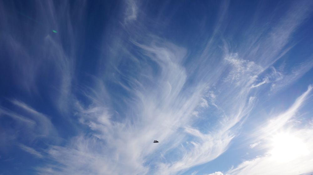 Photograph by Ольга