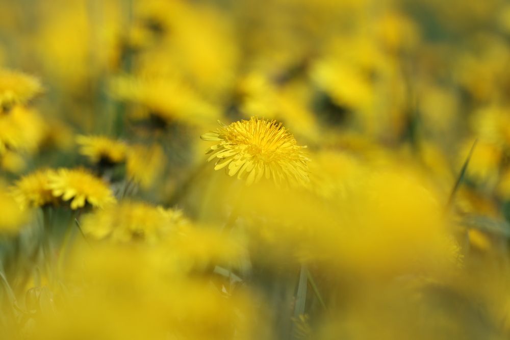 Photograph by Ольга