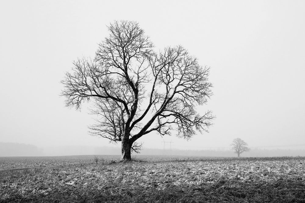 Photograph by Eizenija Freimane