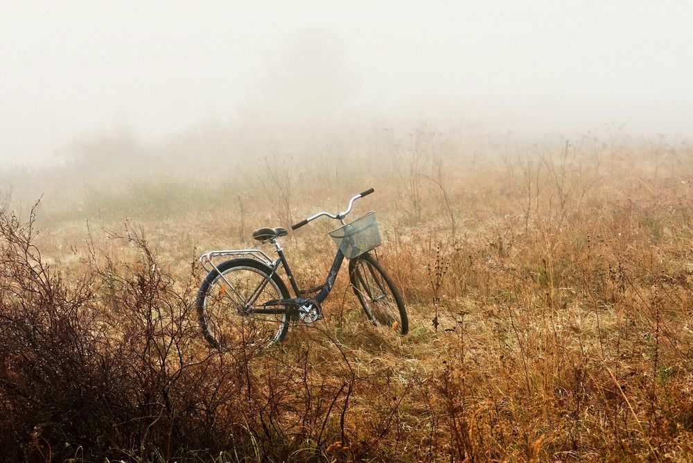 Photograph by Олег Шлыгин