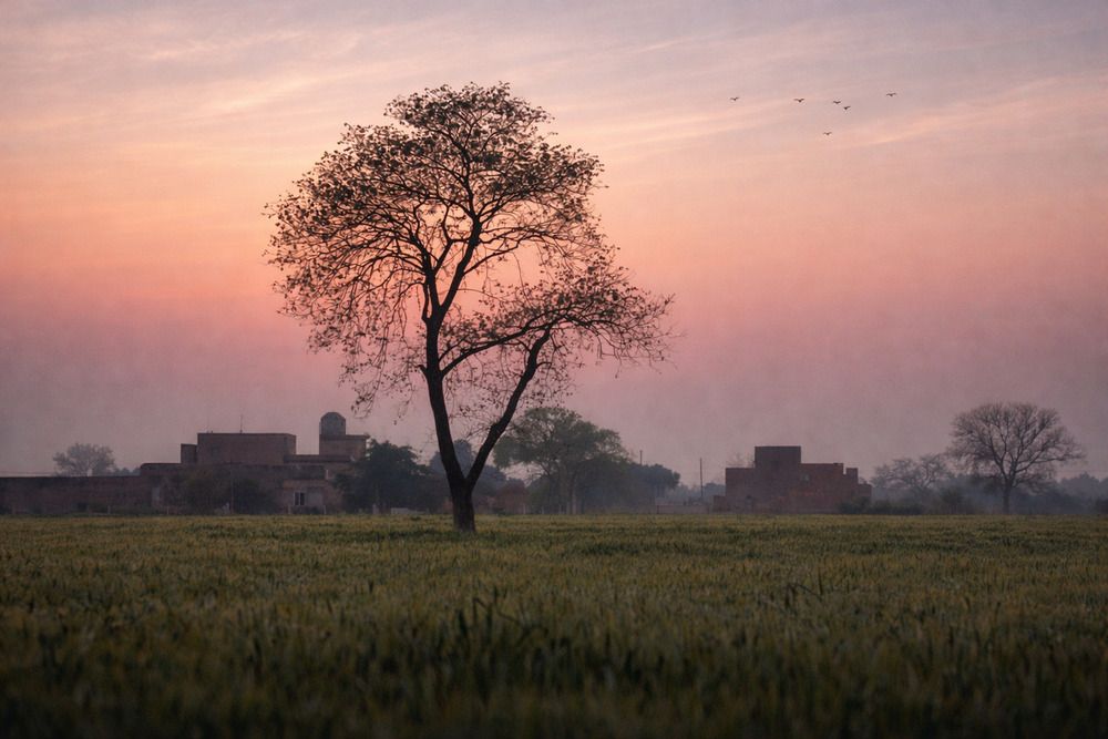 Photograph by Manav Swami