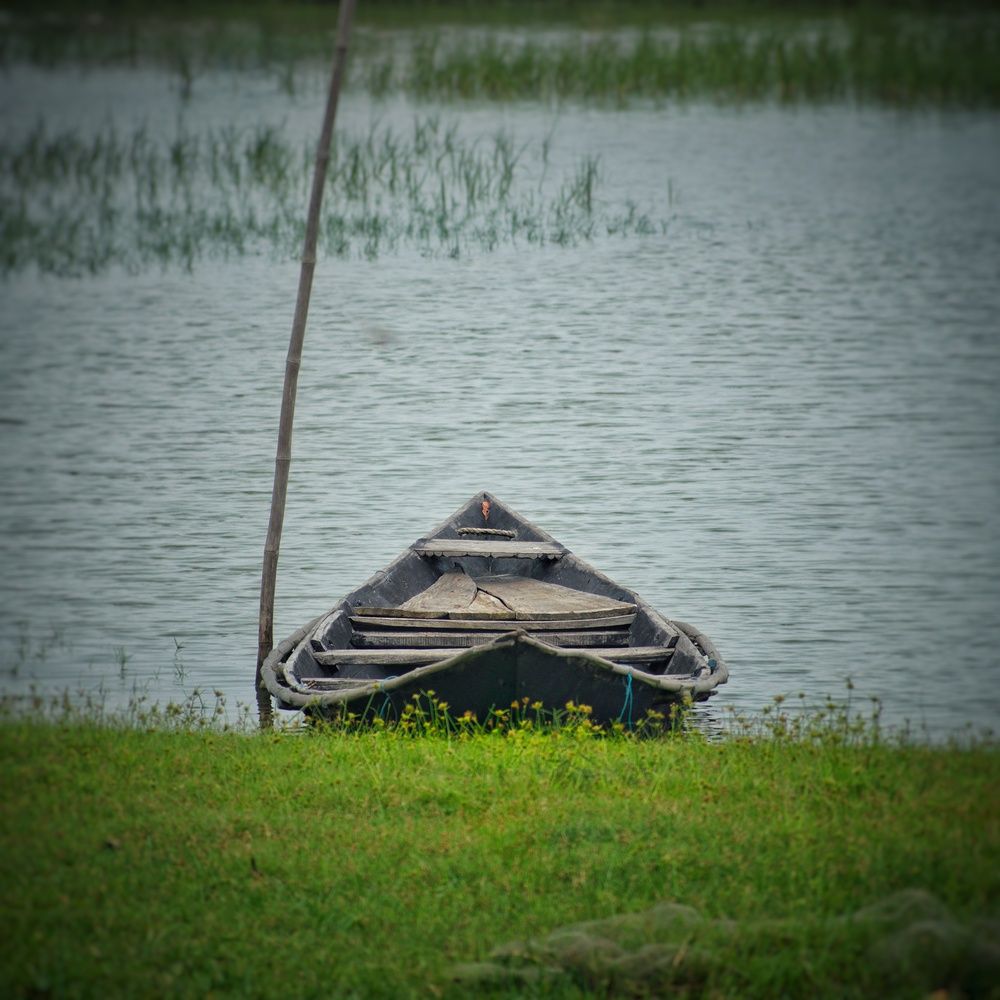 Photograph by Somya Dhariwal
