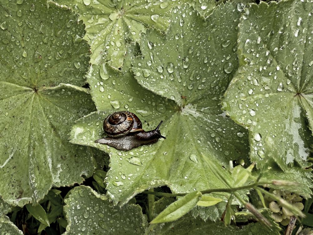 Photograph by Елена Чулюнина