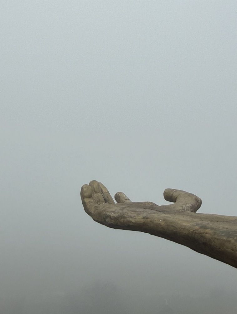 Photograph by Ксения Сидорина