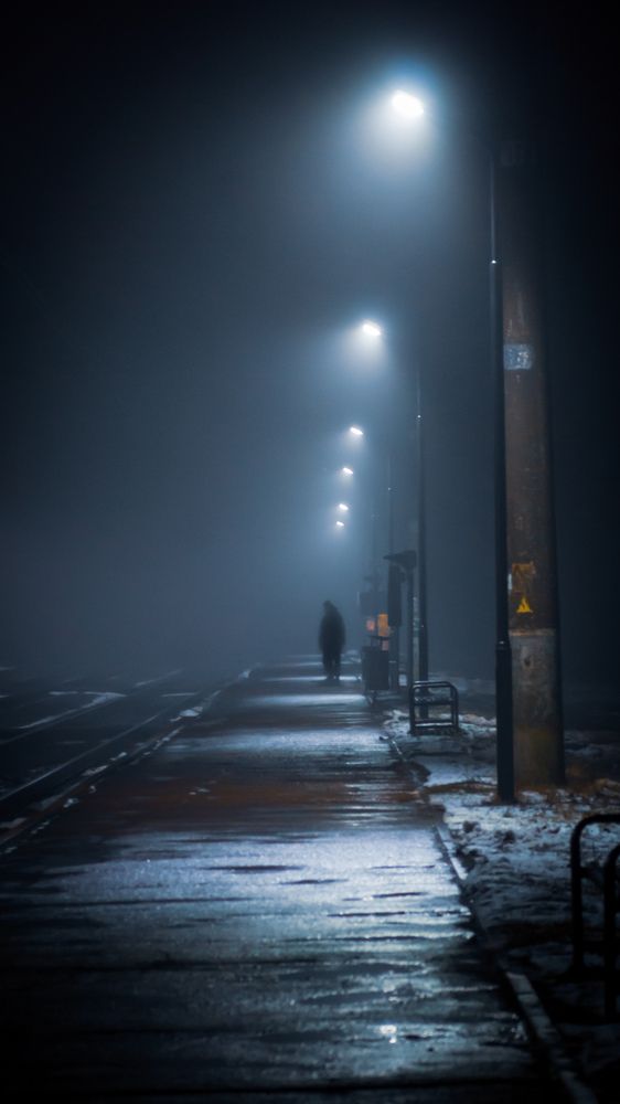 Фотография автора Геннадий Ломеко