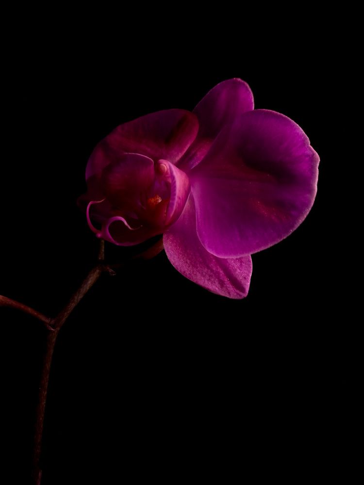 Photograph by Irina Vorobeva