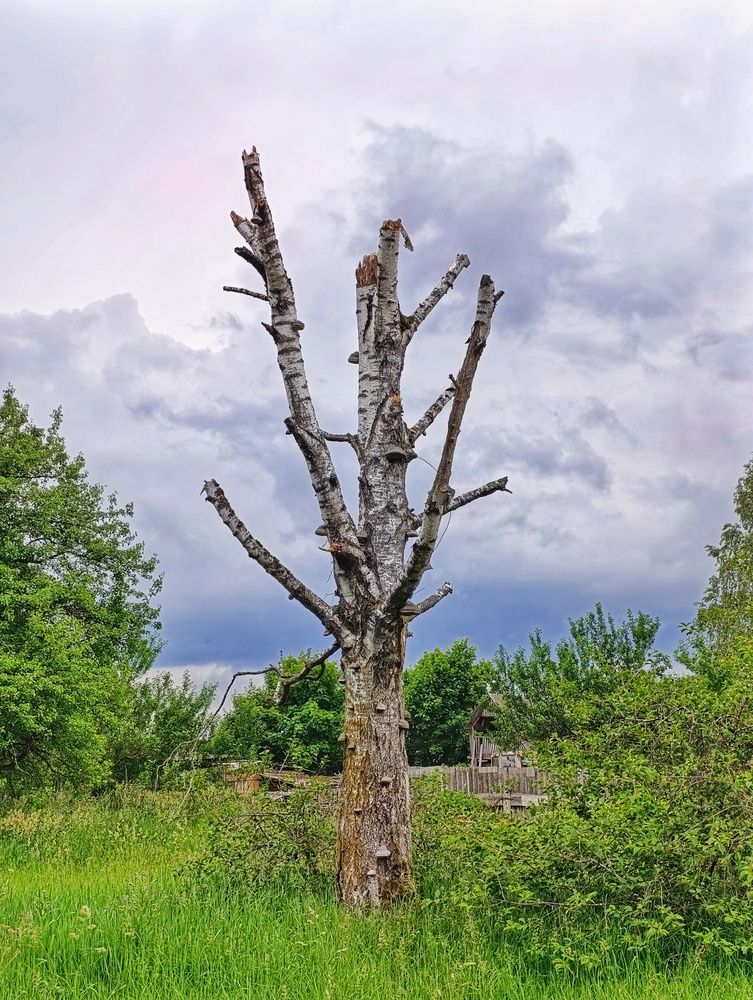 Photograph by Юлия