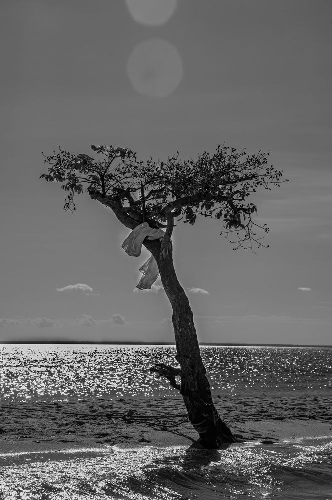 VIDA