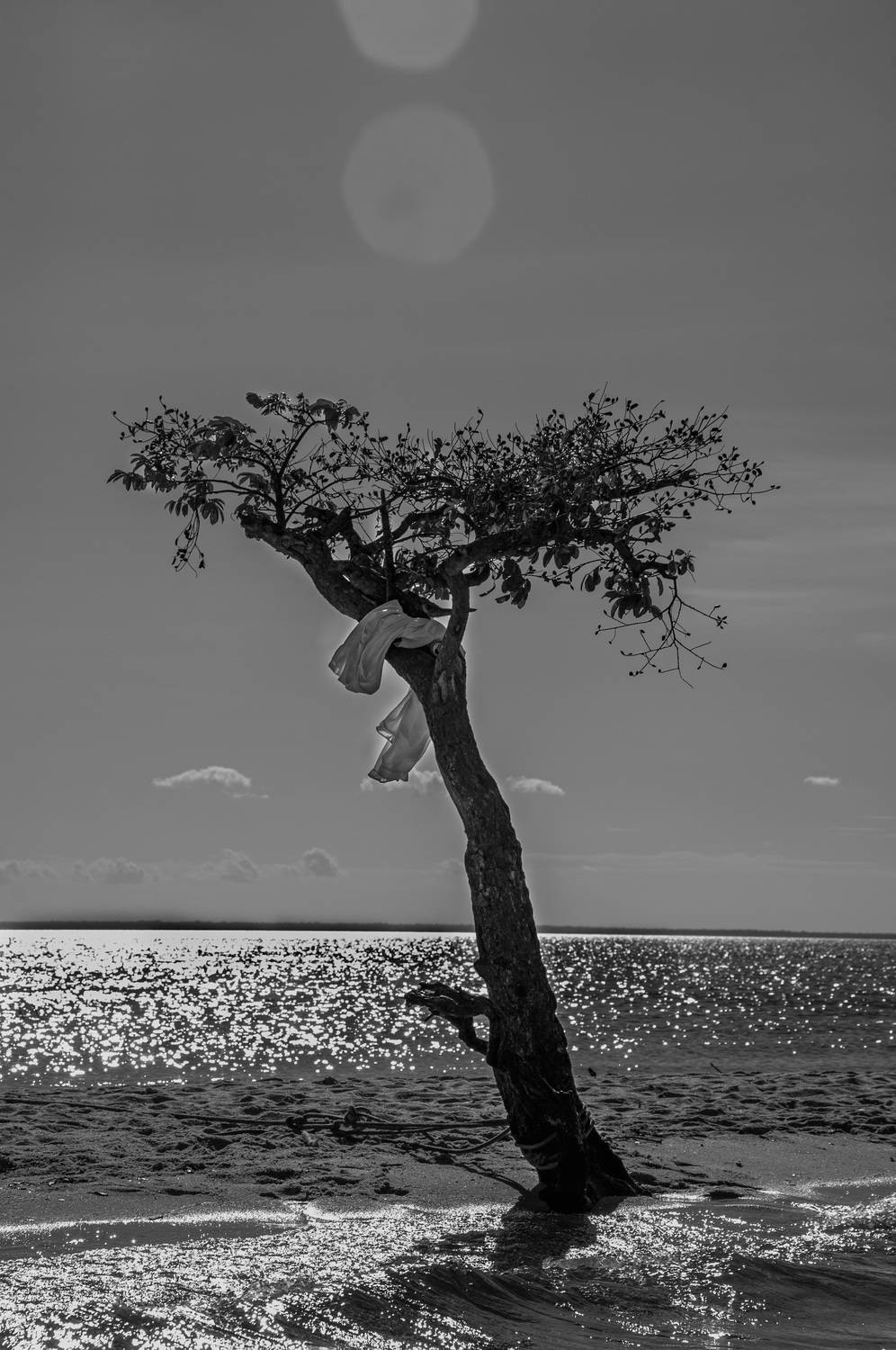 VIDA