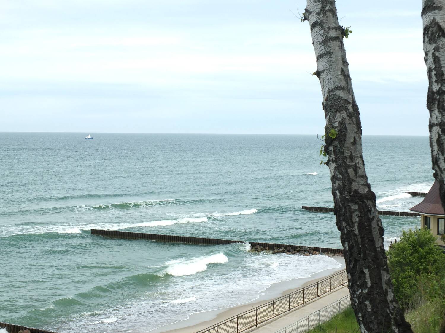 Photo #13671181