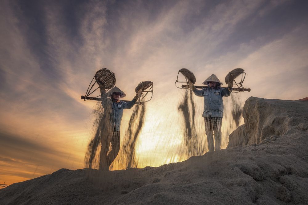Harvesting Light