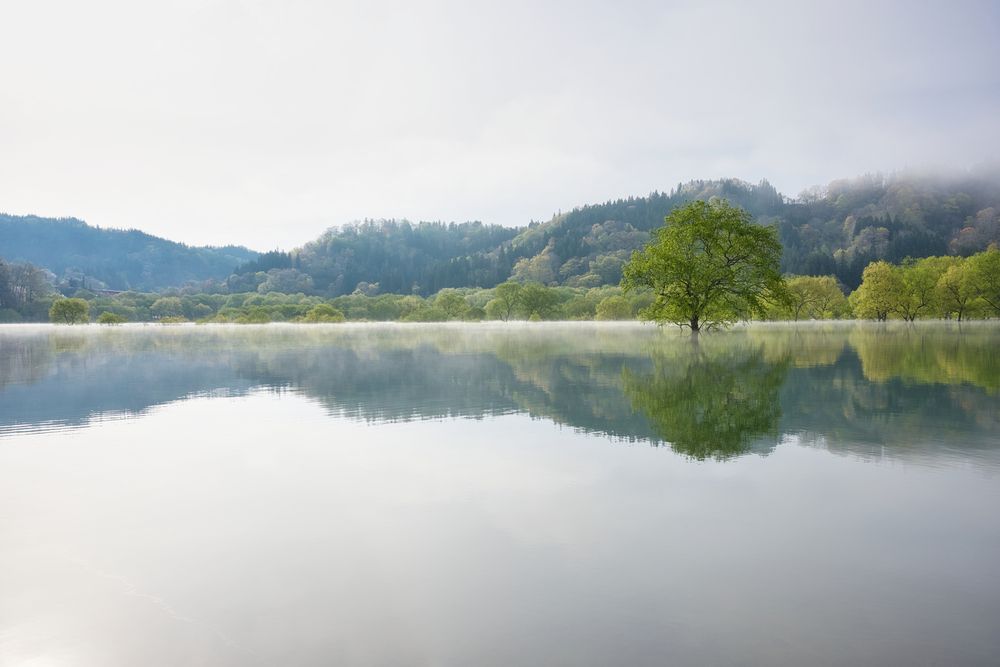 Photograph by 杉山 皓太郎