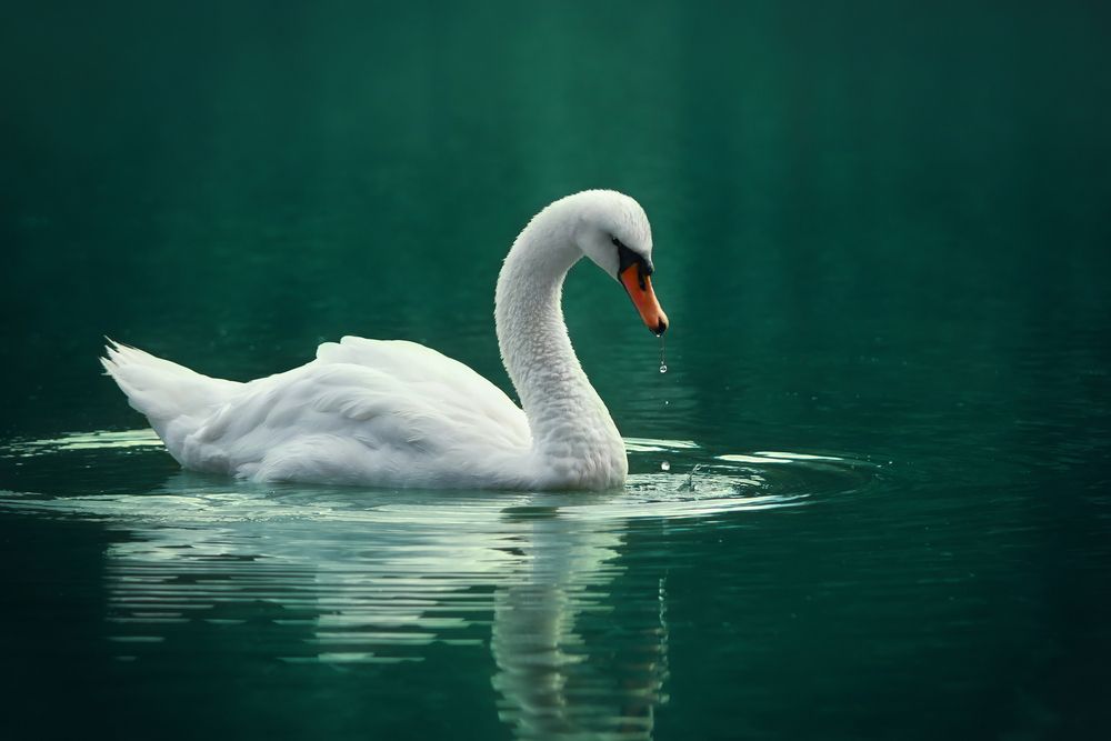 Photograph by Arina Bogachyova