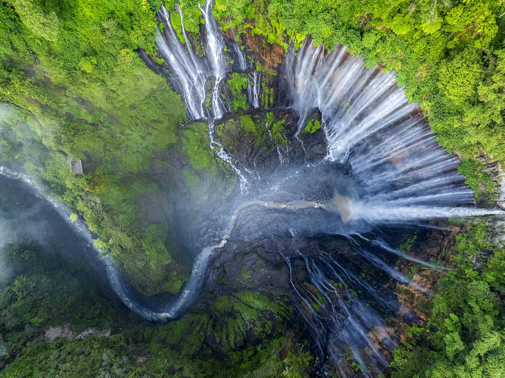 The Pulse of the Earth