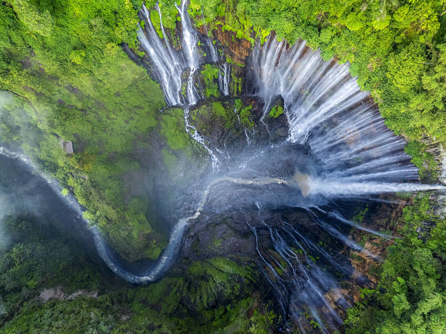 The Pulse of the Earth