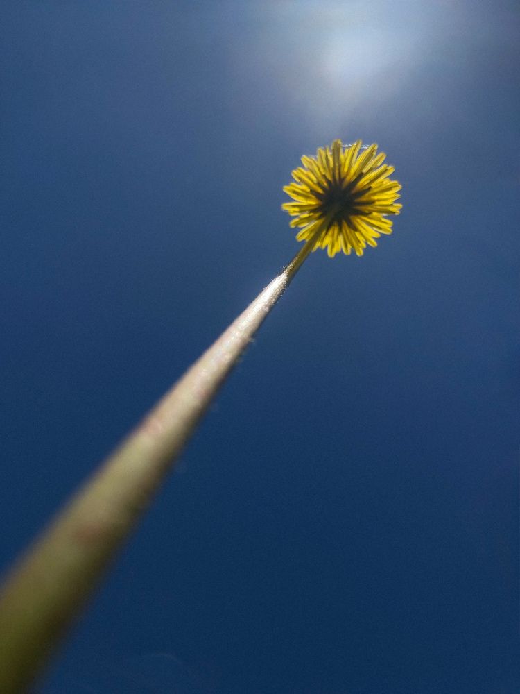 Photograph by Сергей