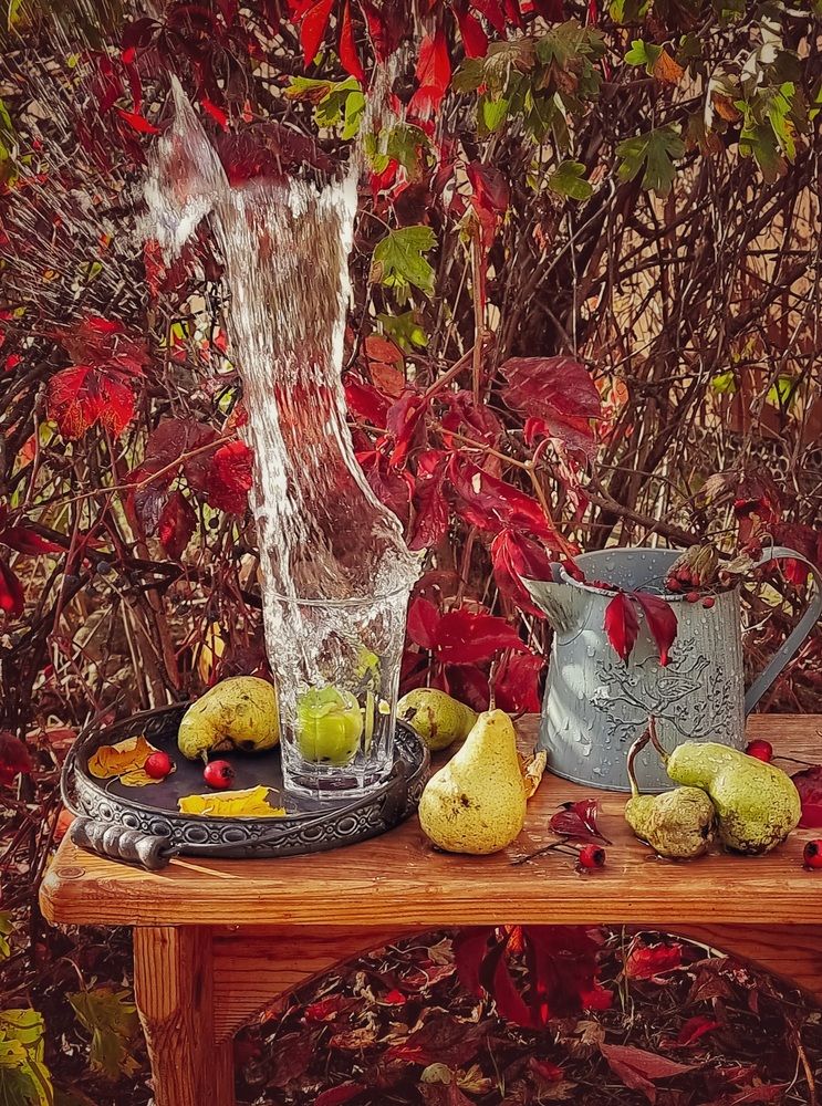 Photograph by Галина Гельфман