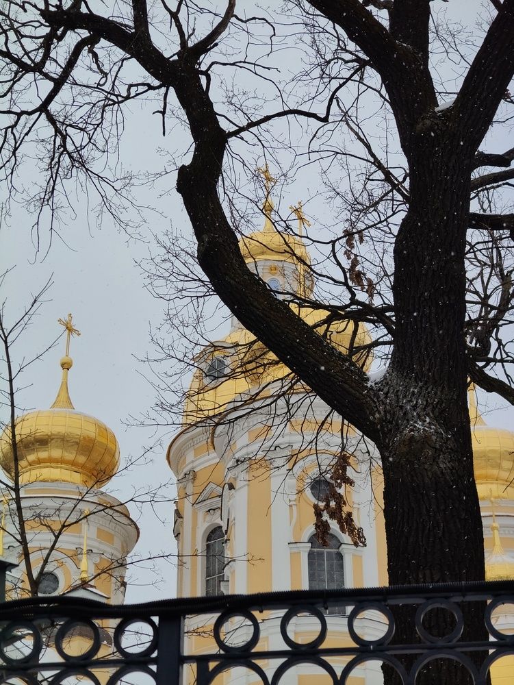 Photograph by Мария Колпакова