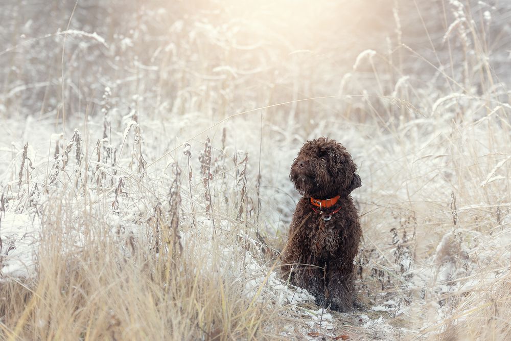 Photograph by Матюхина Наталья