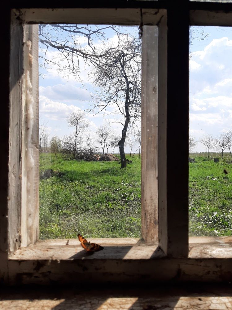Photograph by Анна Хмелькова