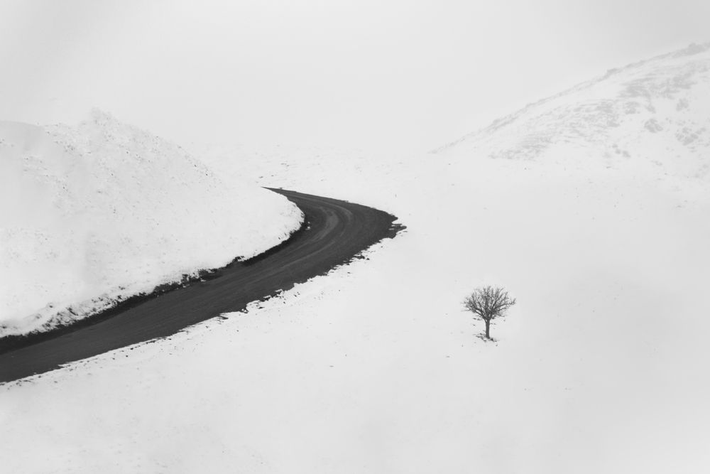 Photograph by namo