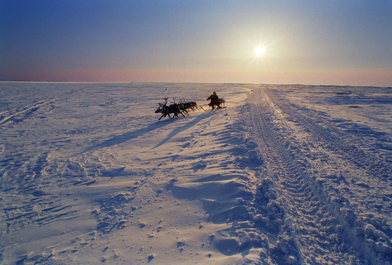Photo #13672311