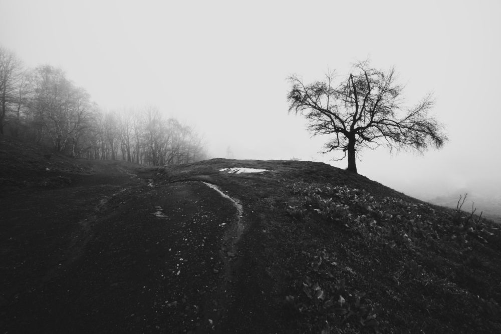 Photograph by Гаврилов Юрий