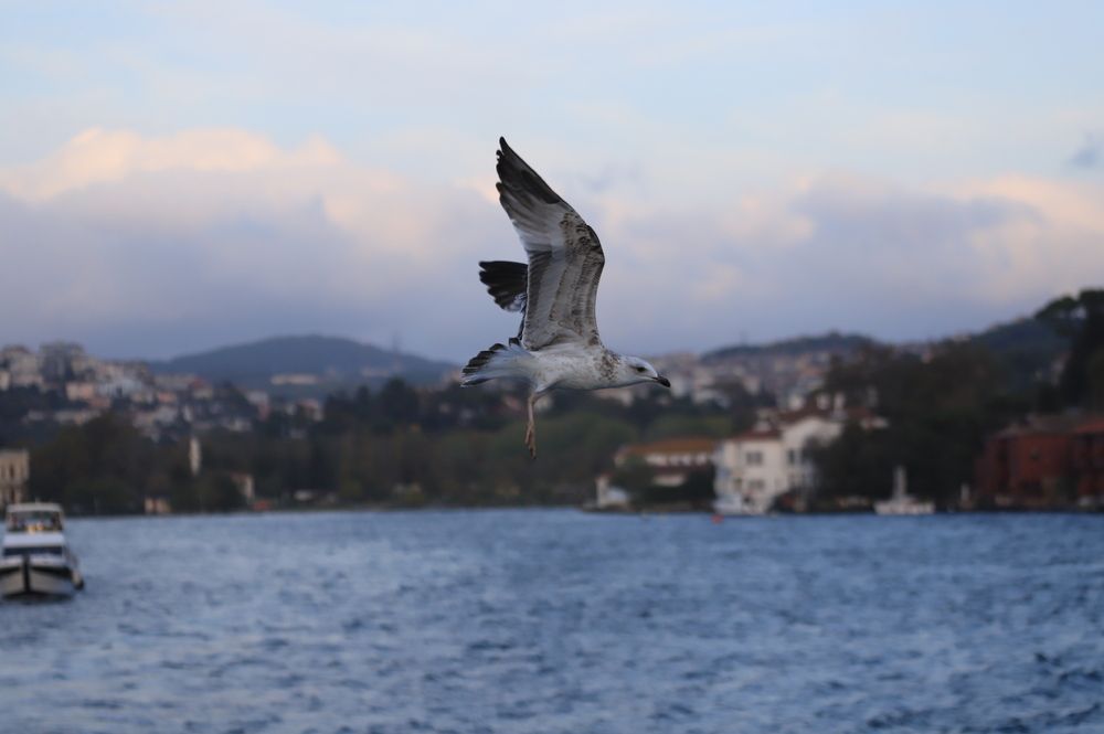 Фотография автора Татьяна