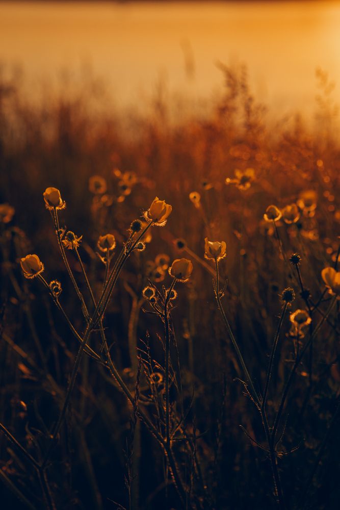 Photograph by Айдар Ибрагимов