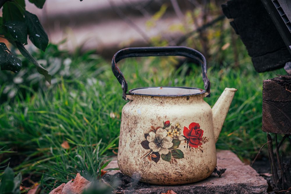 Photograph by Виталий Панченко