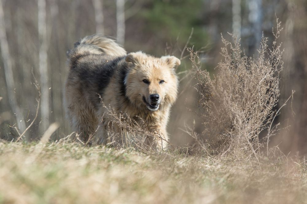 Photograph by Анна Прокофьева