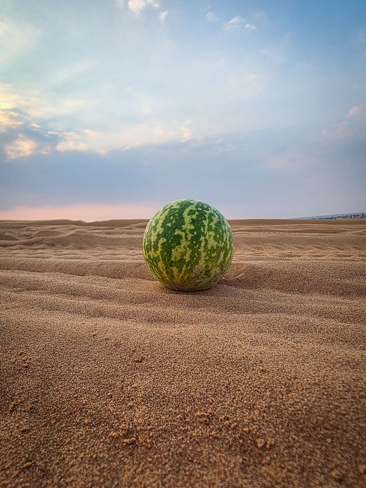 Photograph by Галина Шаститко