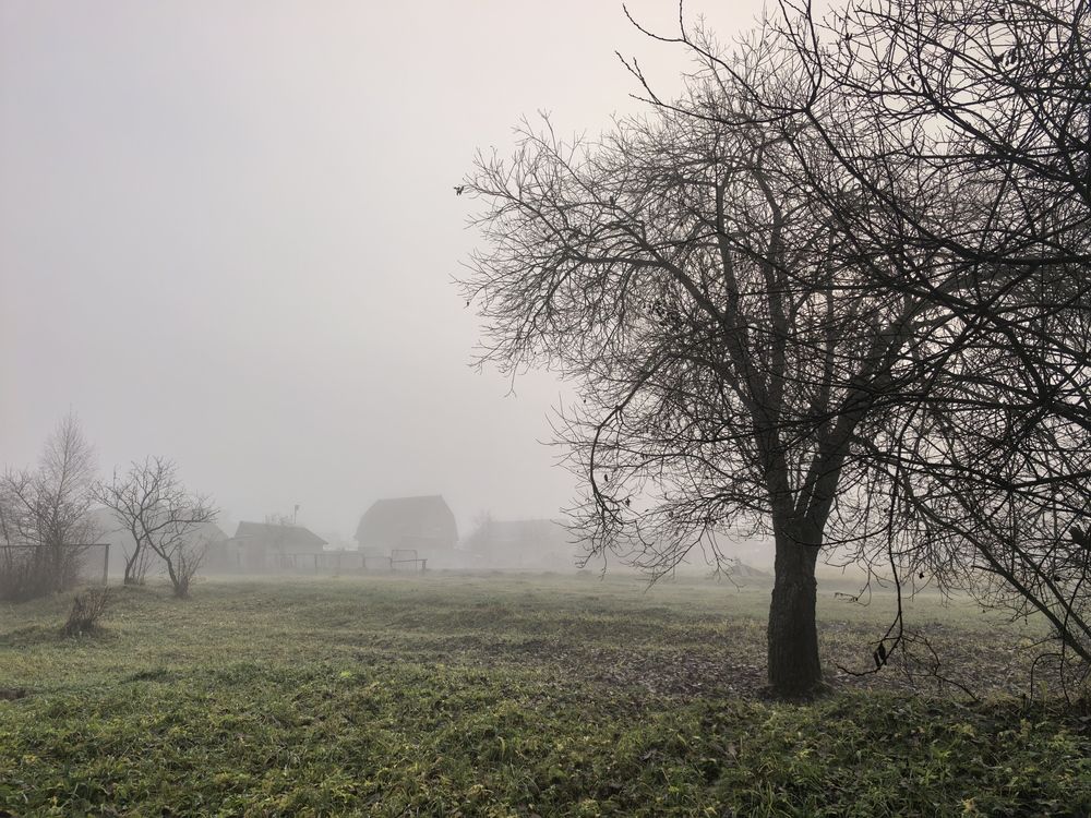 Photograph by Елена Охапкина