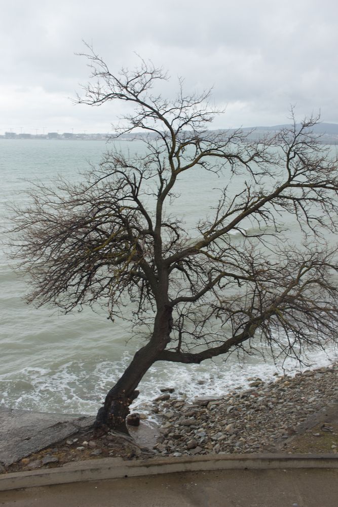Photo #13673004