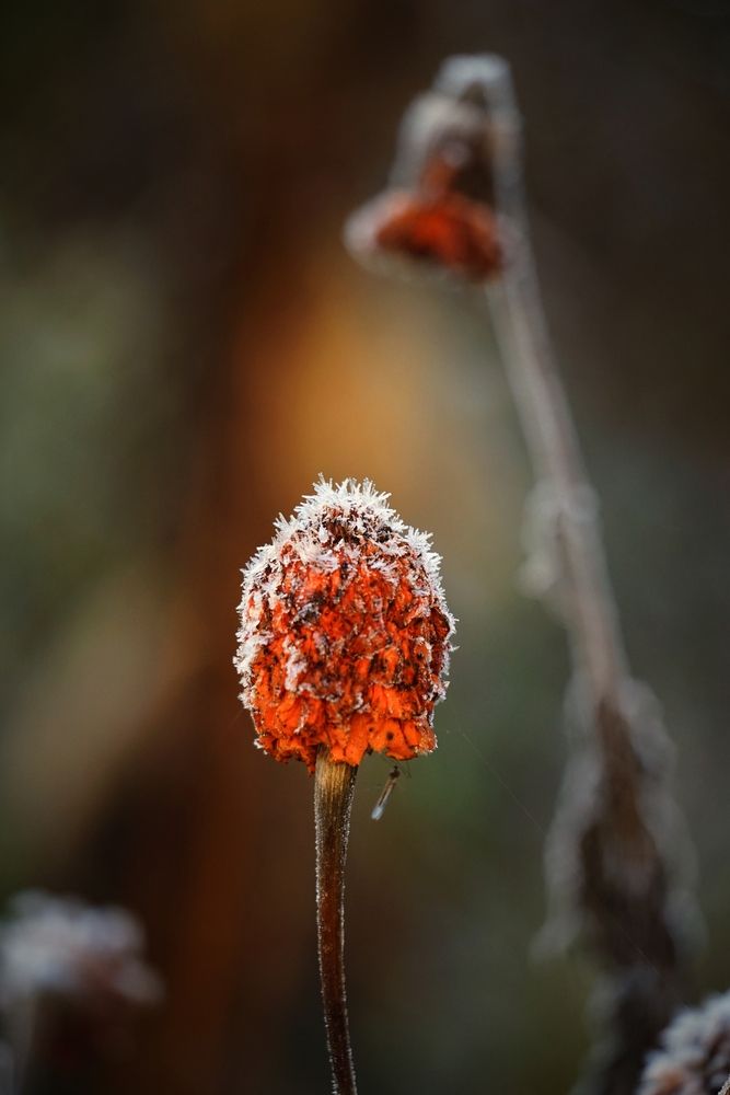 Photograph by Андрей Литов