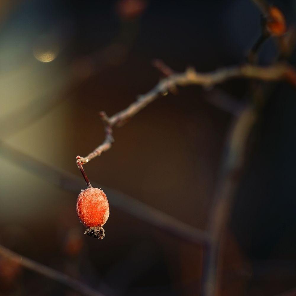 Photograph by Андрей Литов